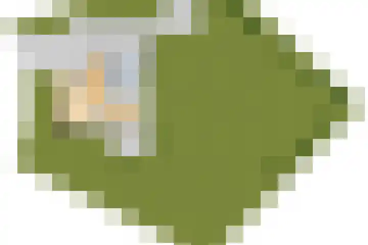 Waterlelie 3 Kollum thumbnail 62