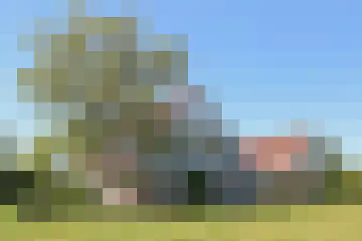 Waterlelie 3 Kollum thumbnail 67