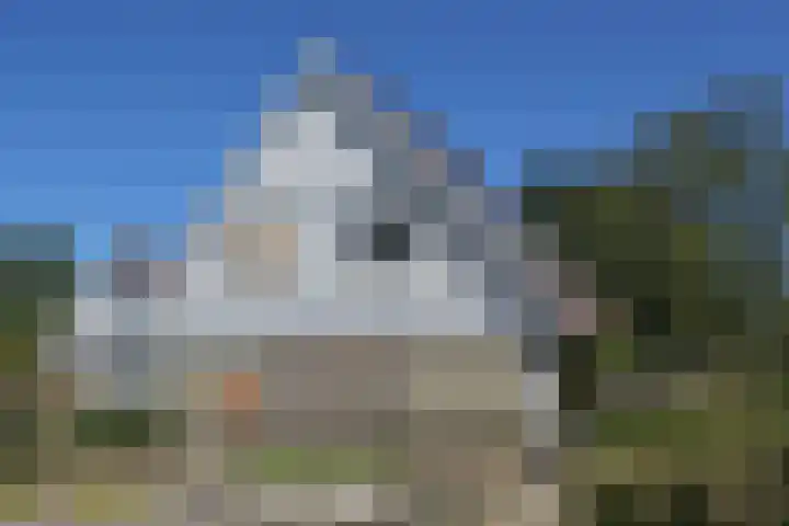 Waterlelie 3 Kollum thumbnail 7