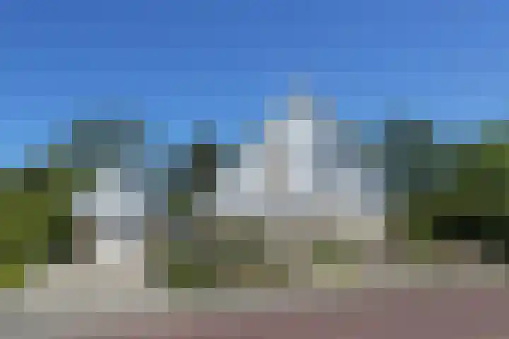 Waterlelie 3 Kollum thumbnail 8