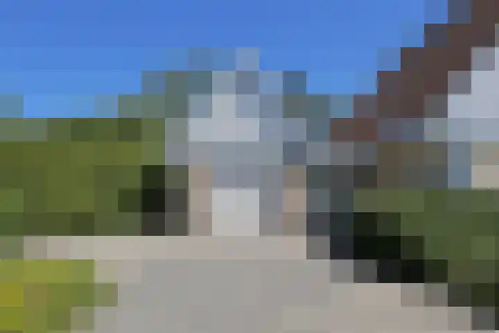 Waterlelie 3 Kollum thumbnail 9