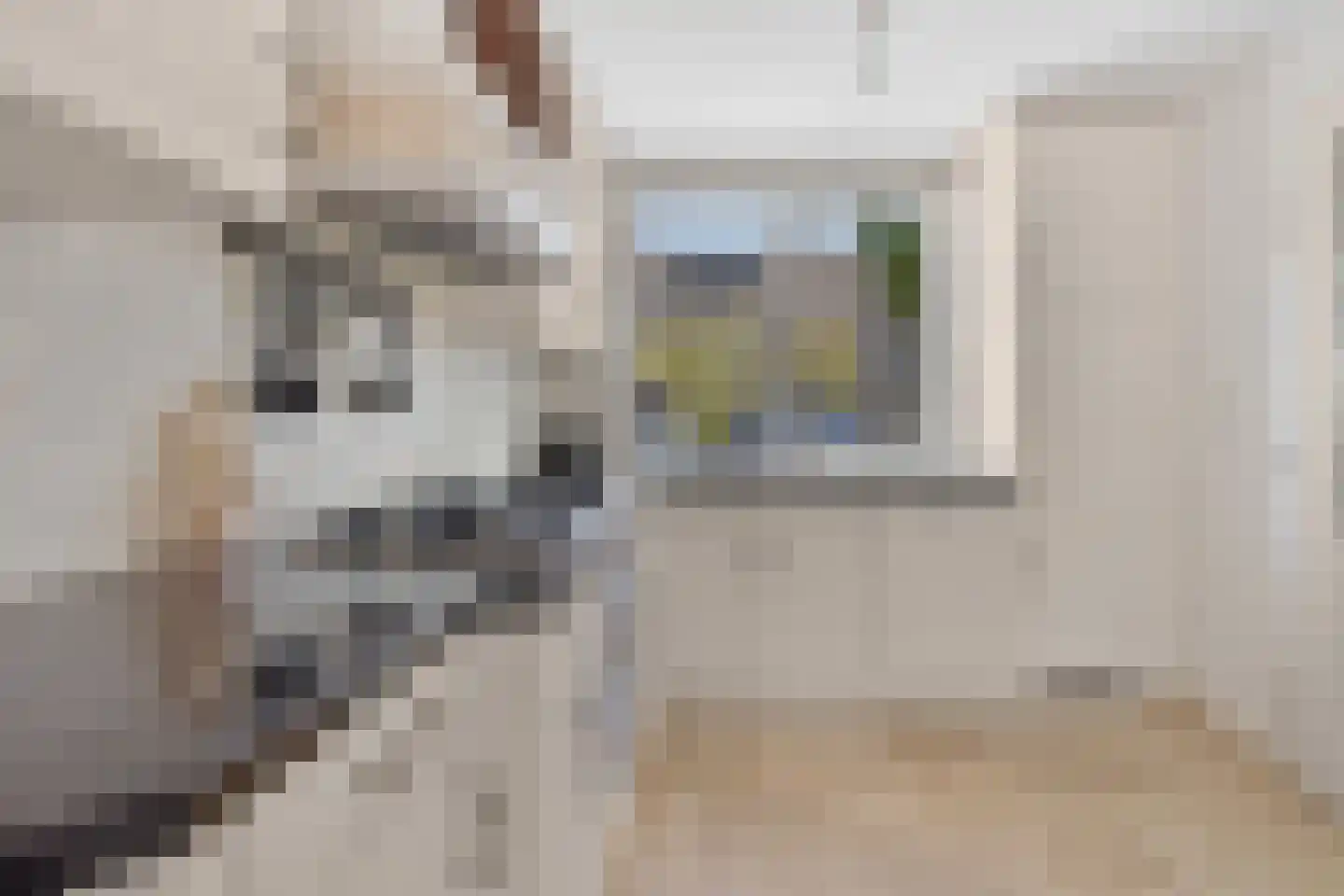 Waterlelie 31 Abcoude thumbnail 13