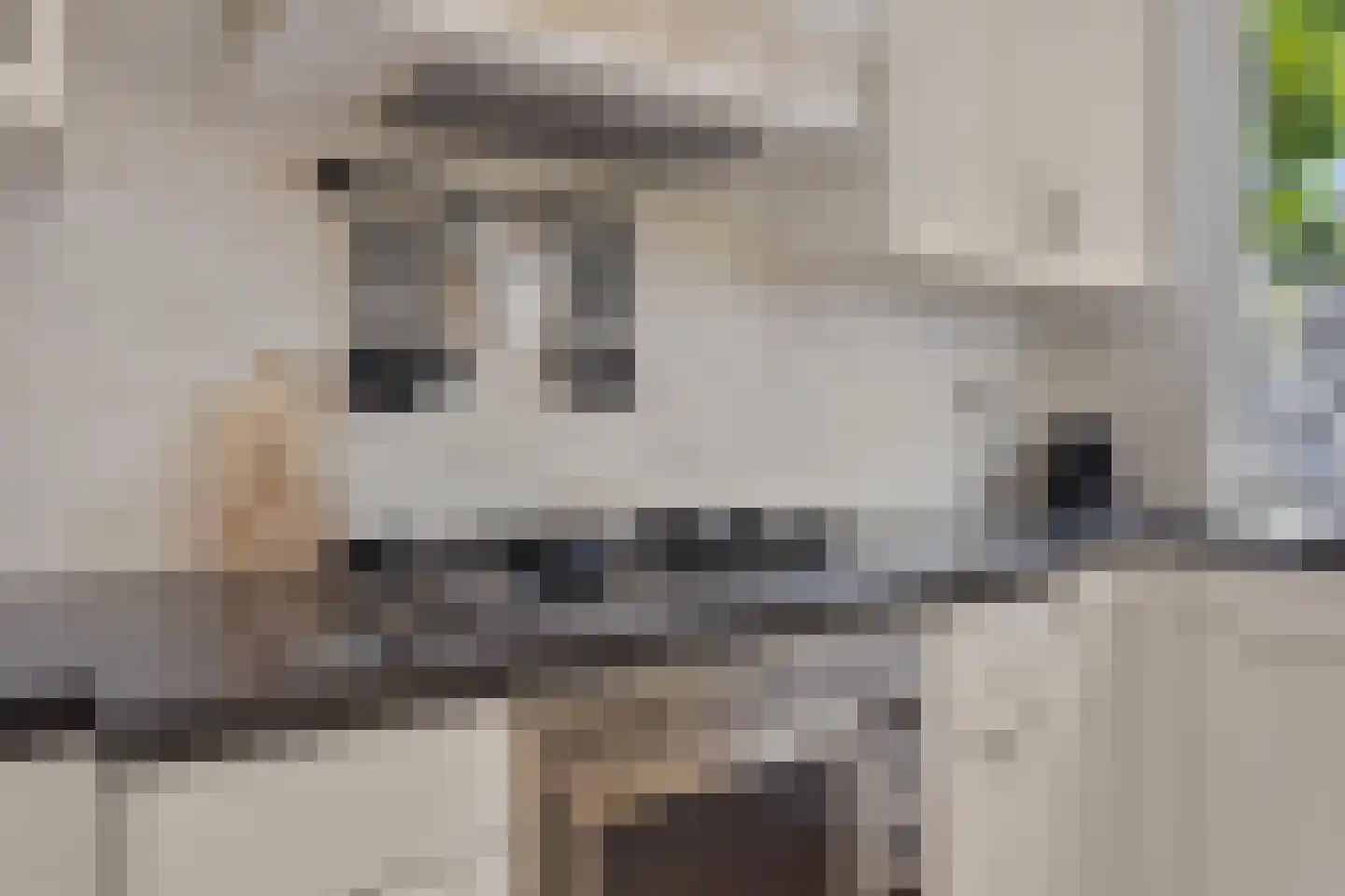 Waterlelie 31 Abcoude thumbnail 15