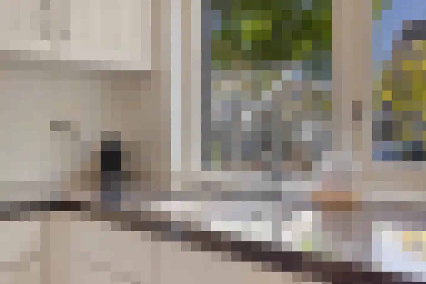 Waterlelie 31 Abcoude thumbnail 16
