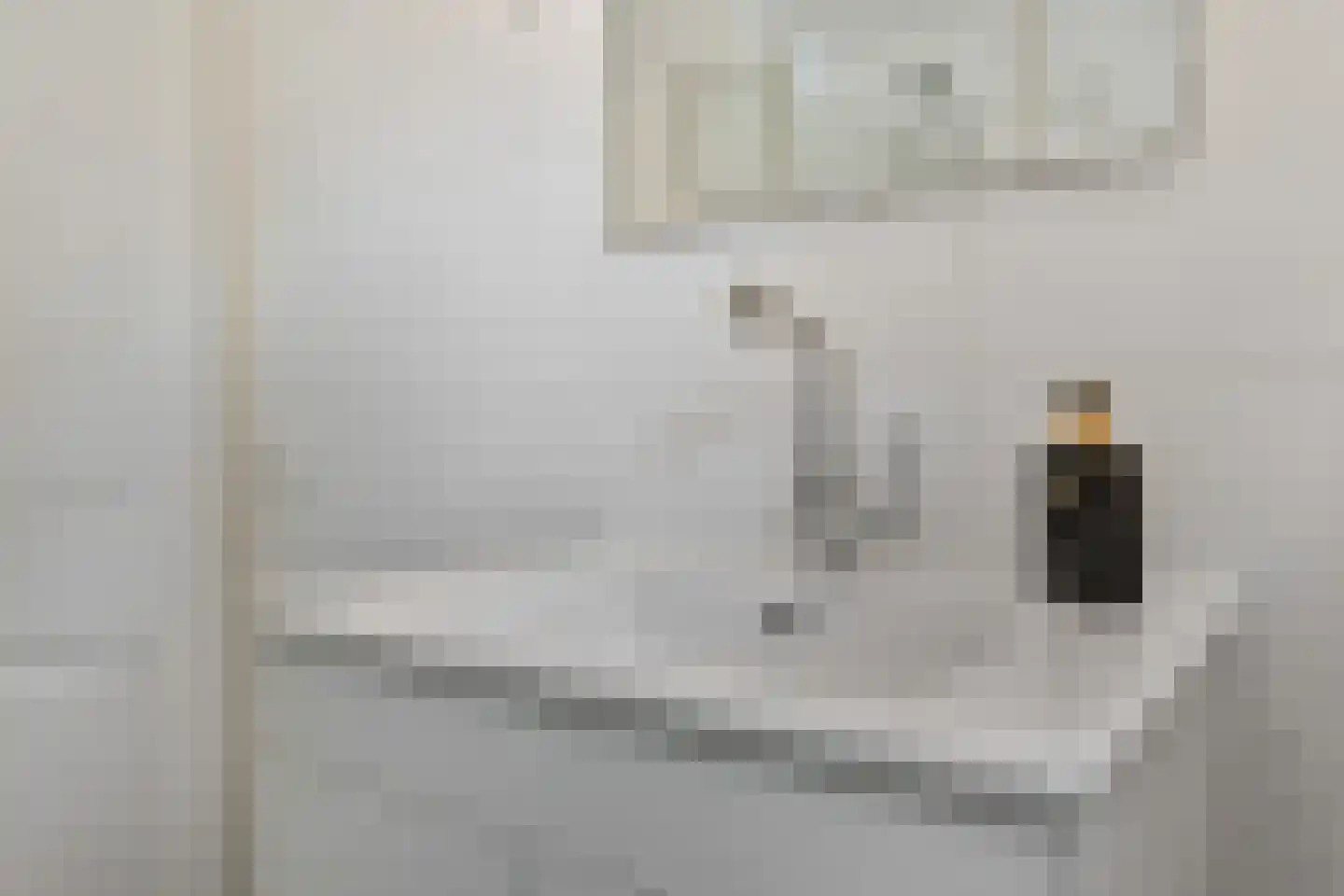 Waterlelie 31 Abcoude thumbnail 25