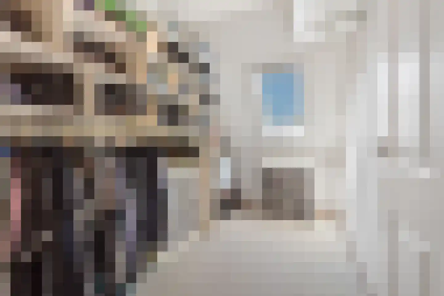 Waterlelie 31 Abcoude thumbnail 26
