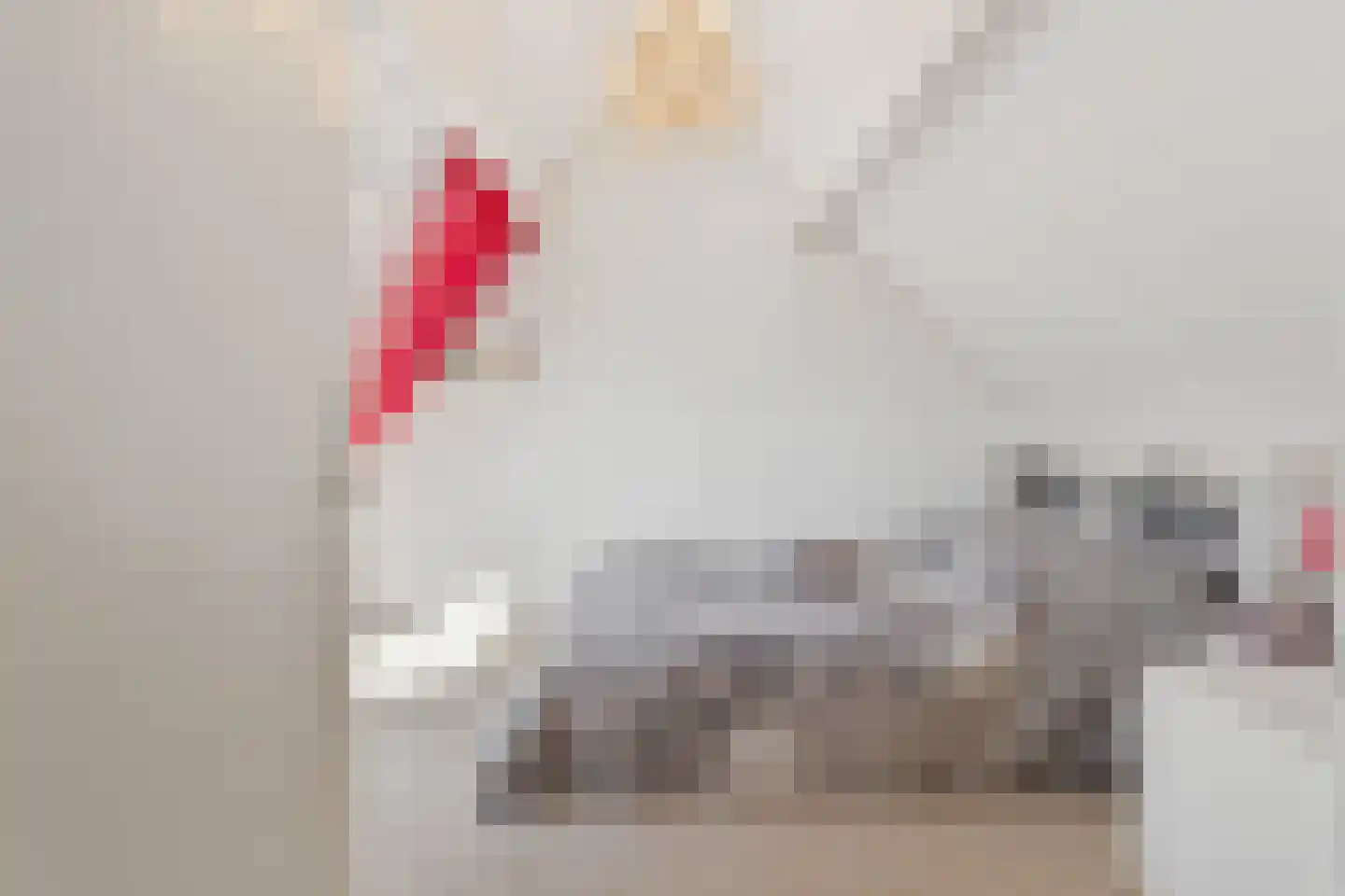 Waterlelie 31 Abcoude thumbnail 28