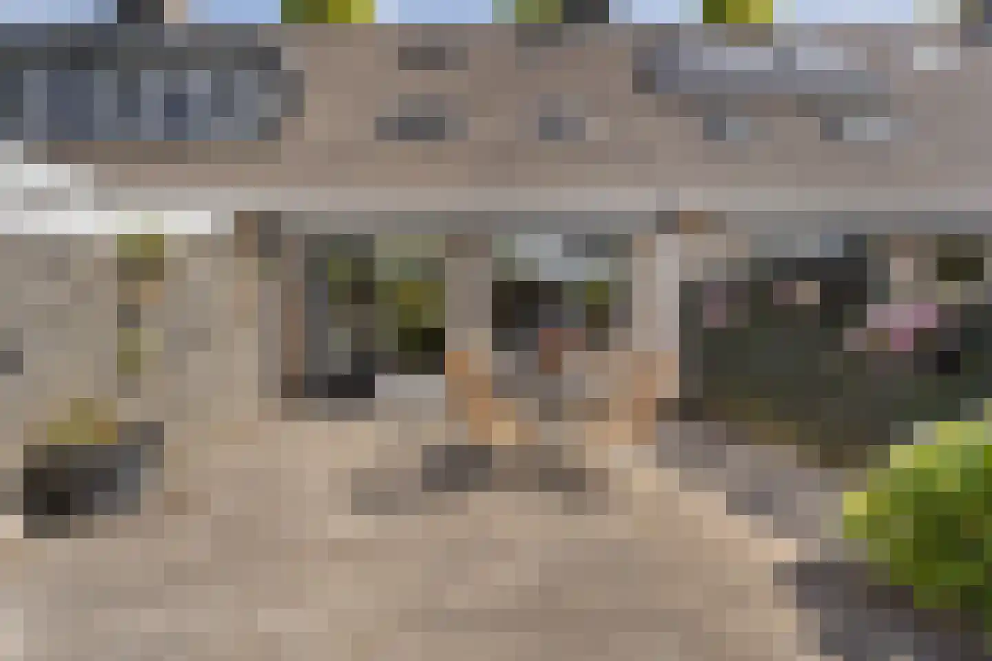 Waterlelie 31 Abcoude thumbnail 32