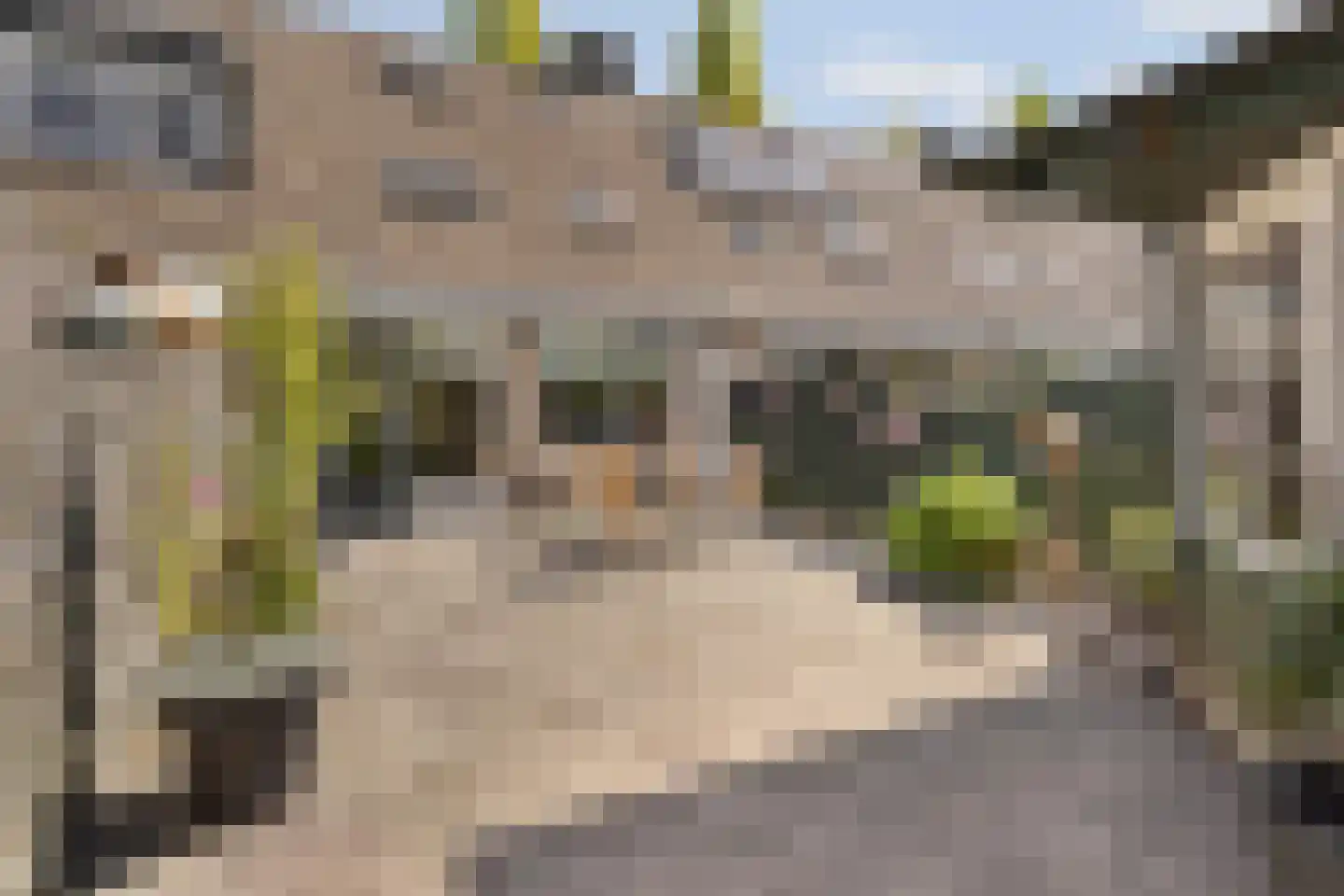 Waterlelie 31 Abcoude thumbnail 33