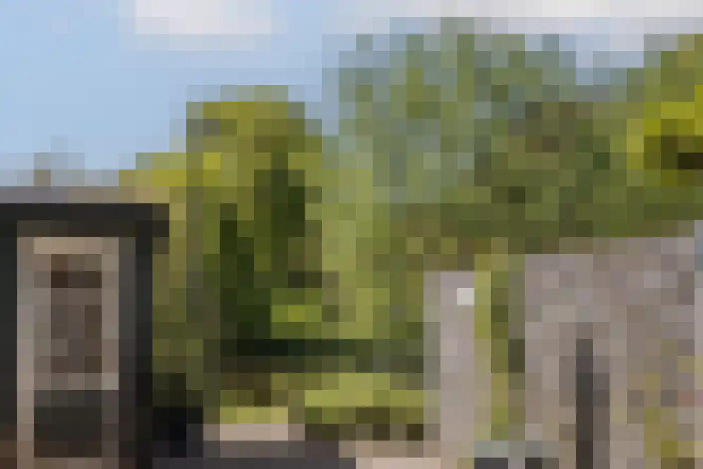 Waterlelie 31 Abcoude thumbnail 35