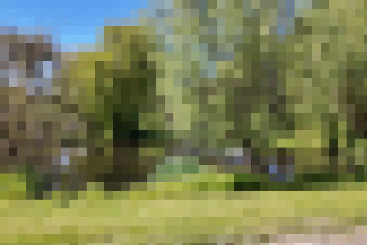 Waterlelie 31 Abcoude thumbnail 36