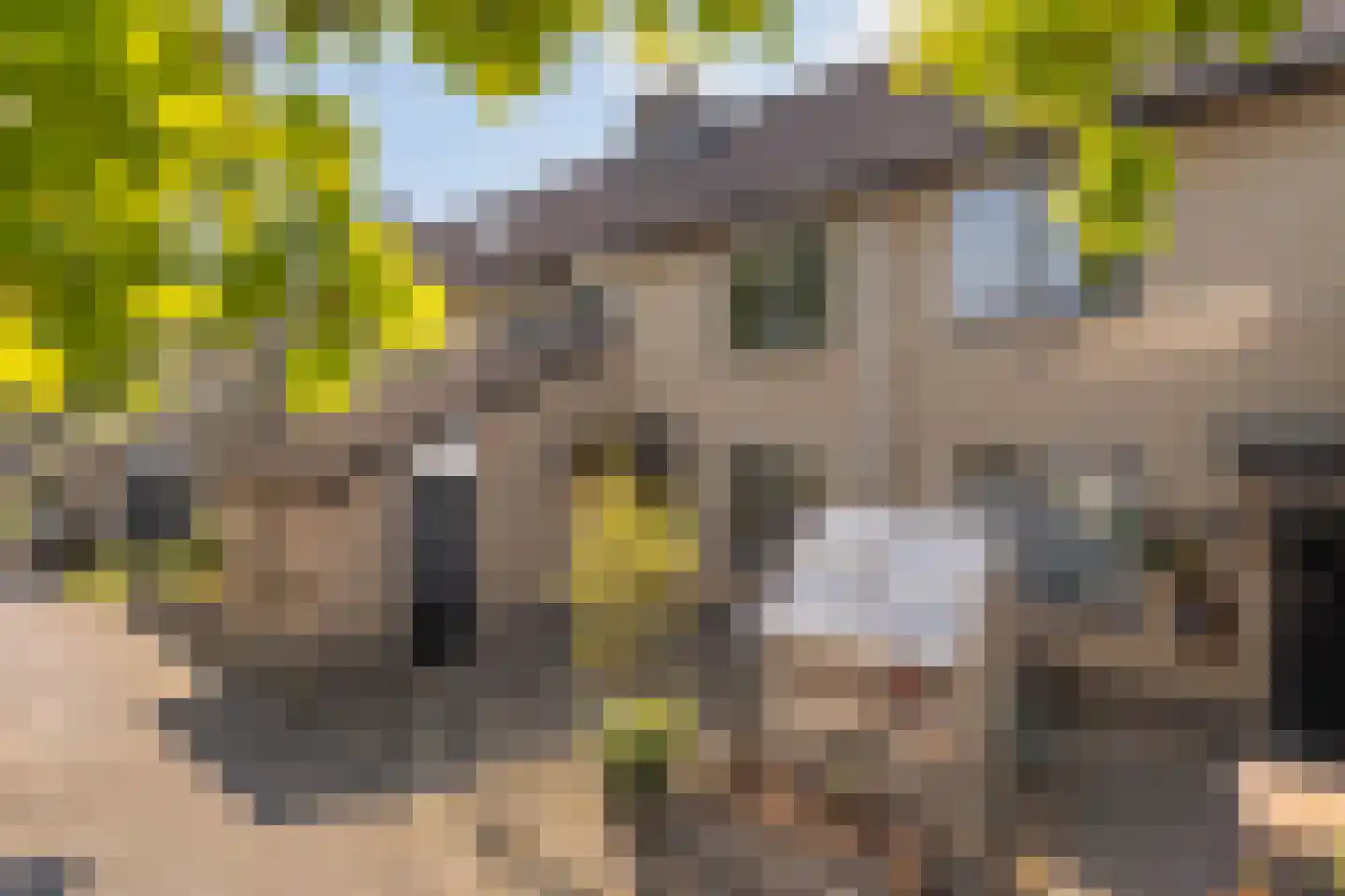 Waterlelie 31 Abcoude thumbnail 6