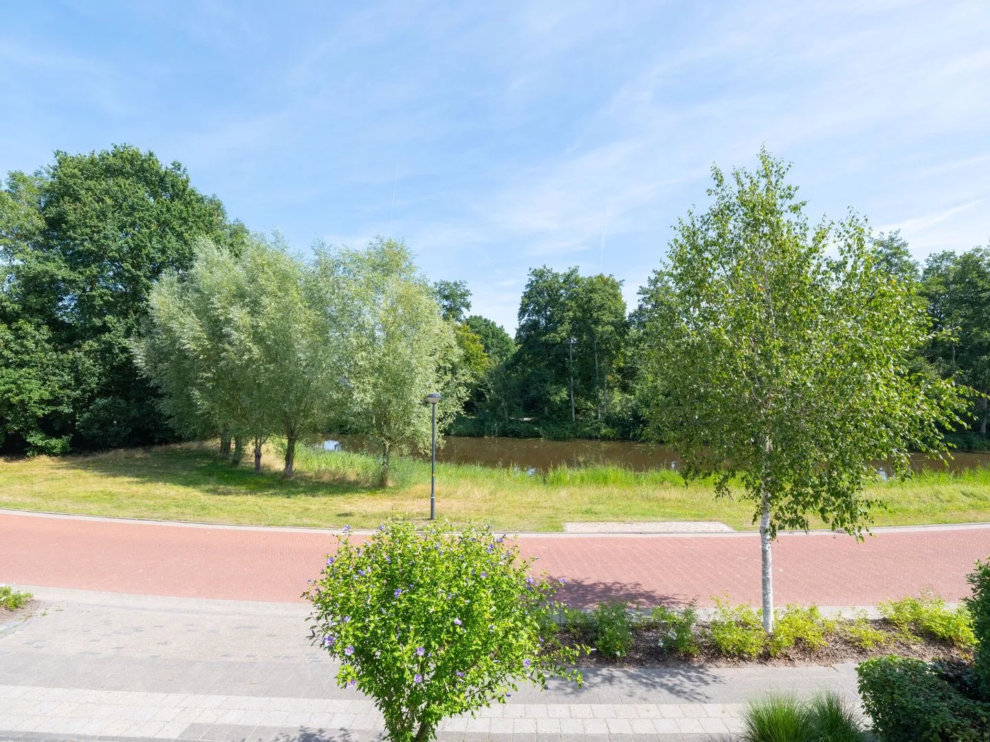 Waterlelie 31 Drachten thumbnail 24