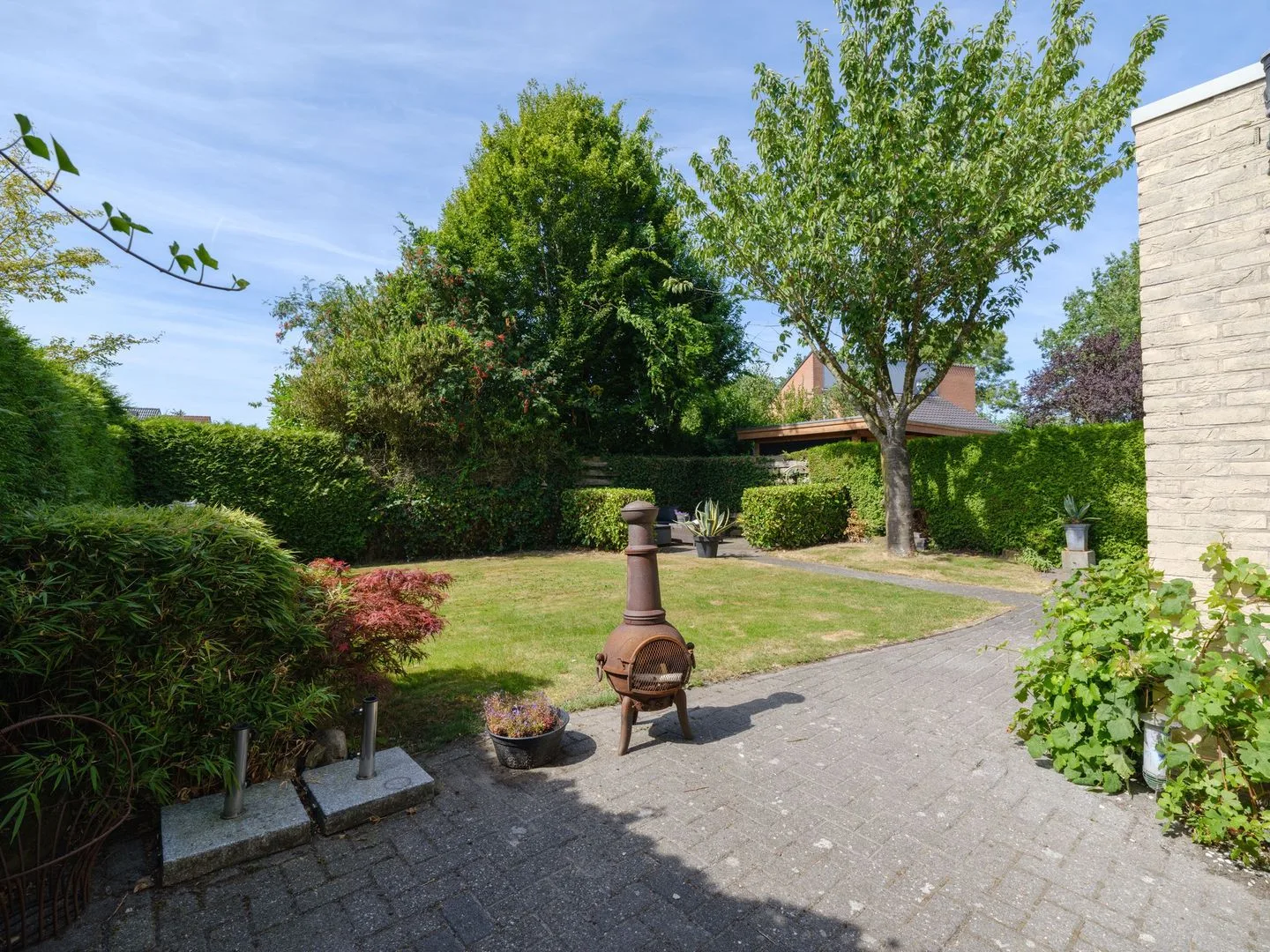Waterlelie 31 Drachten thumbnail 38