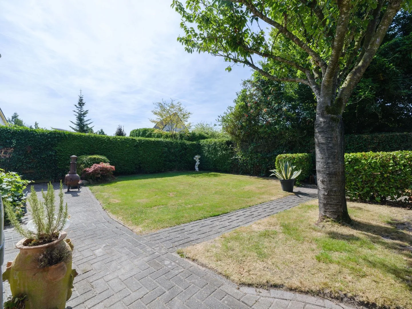 Waterlelie 31 Drachten thumbnail 40