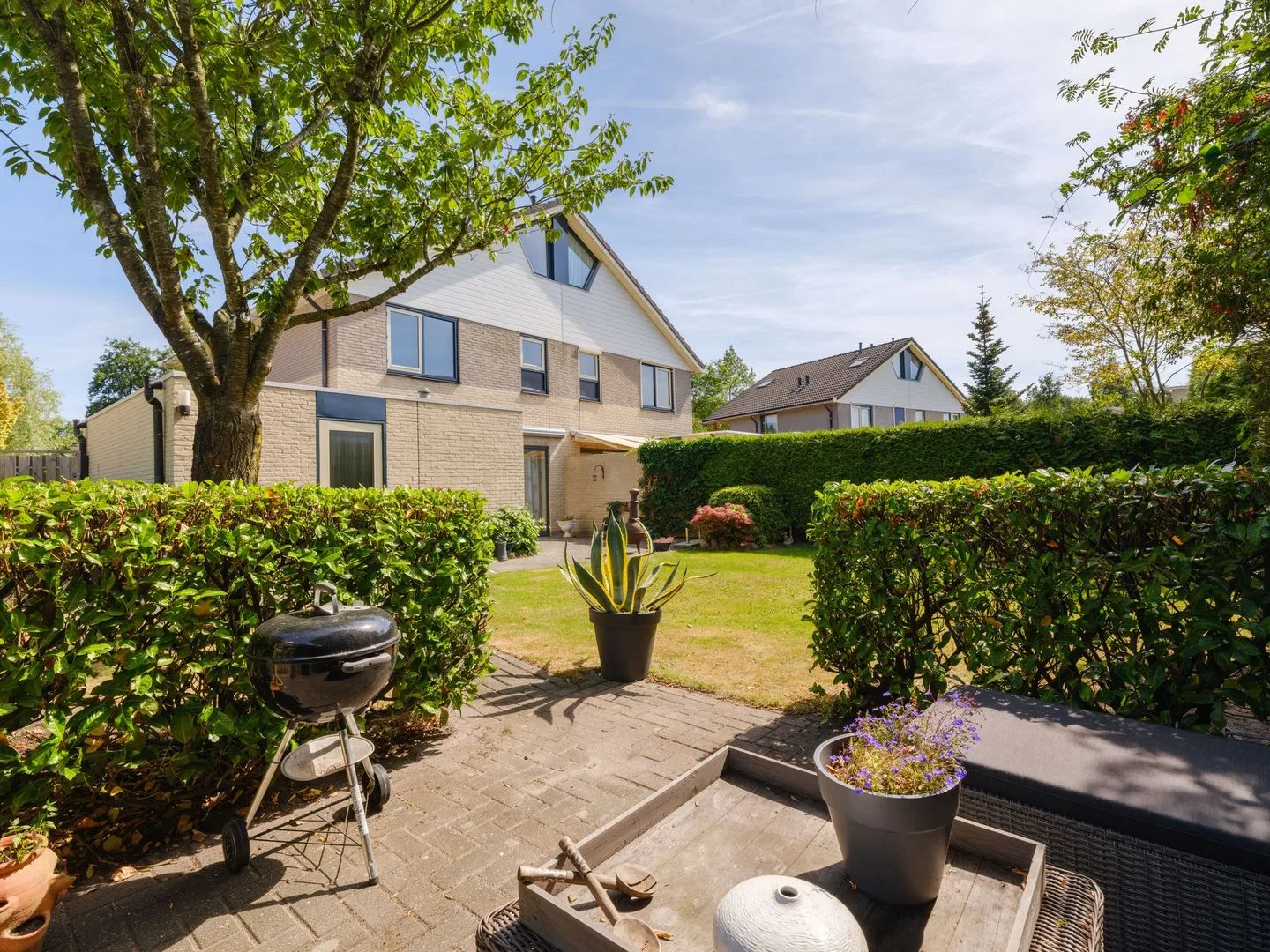 Waterlelie 31 Drachten thumbnail 41