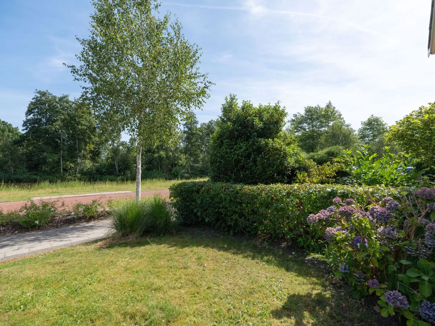 Waterlelie 31 Drachten thumbnail 44