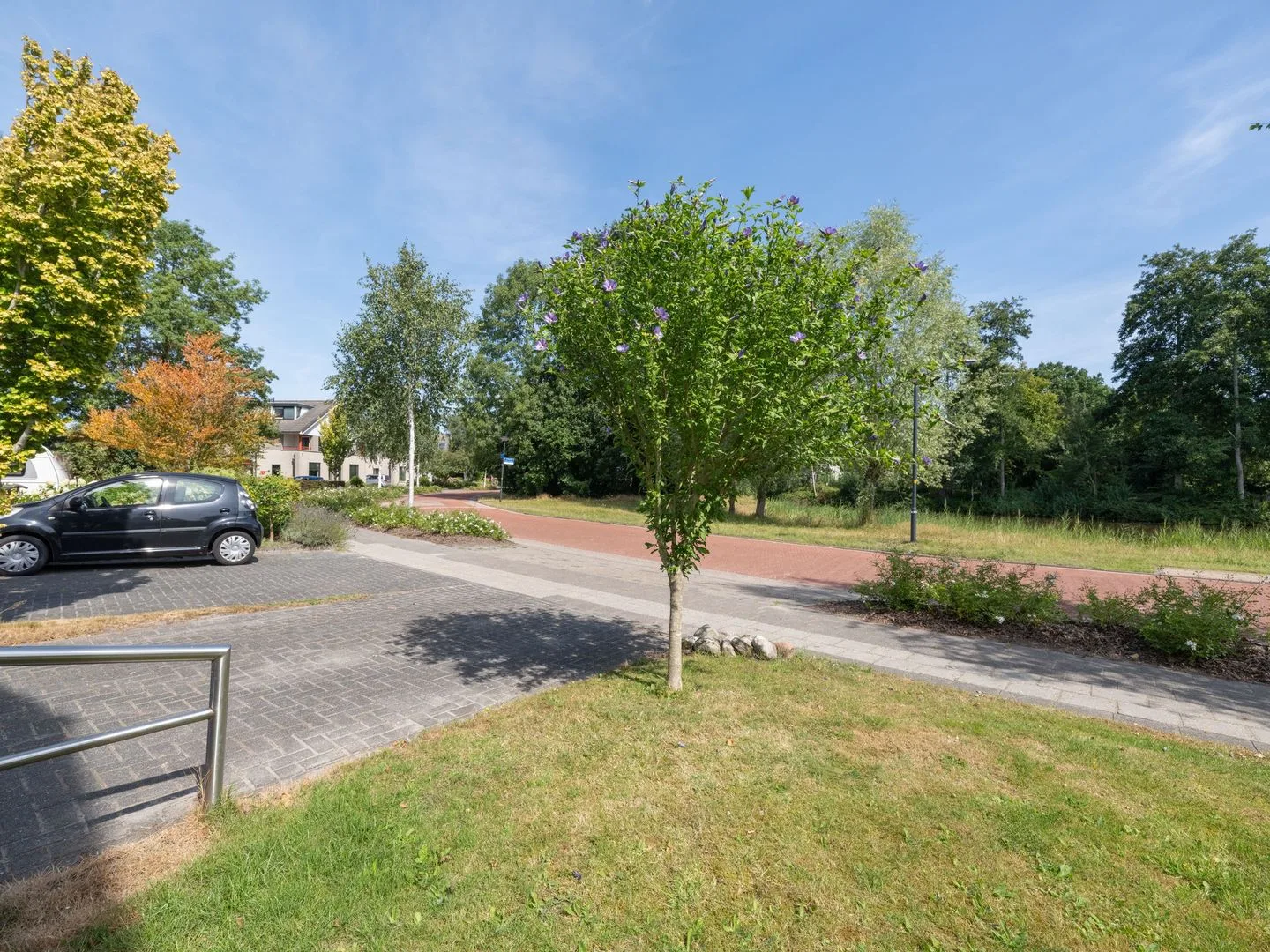 Waterlelie 31 Drachten thumbnail 7