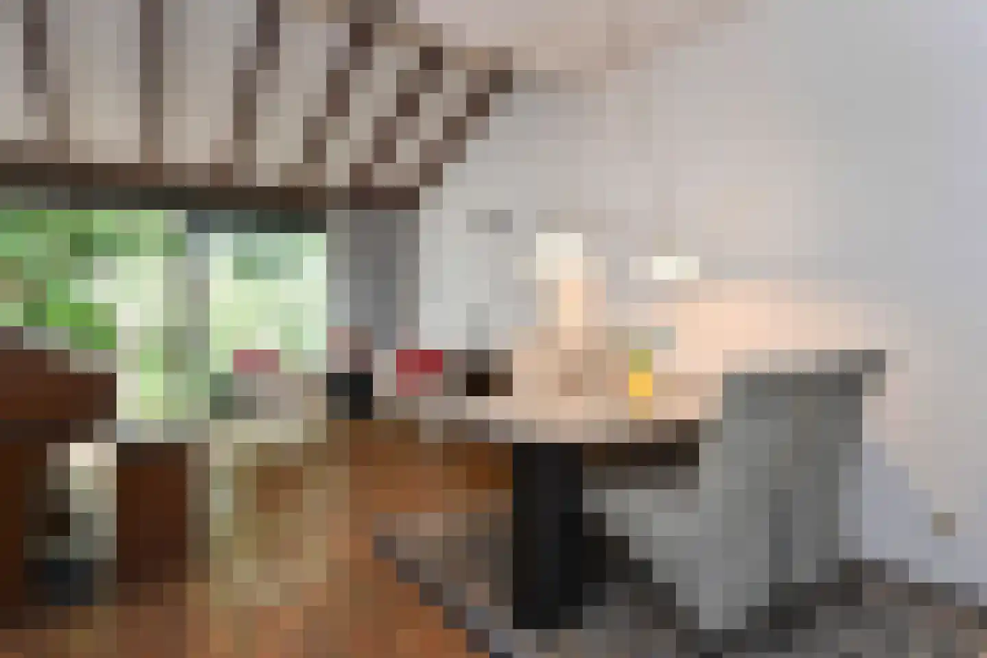 Waterlelie 32 Gouda thumbnail 13