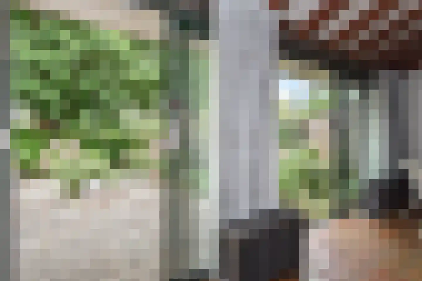 Waterlelie 32 Gouda thumbnail 18
