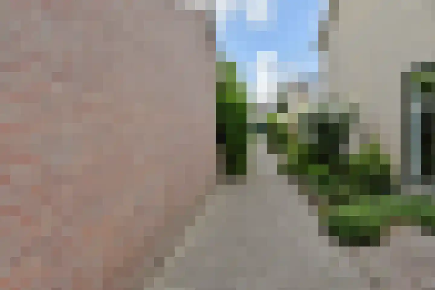 Waterlelie 32 Gouda thumbnail 23