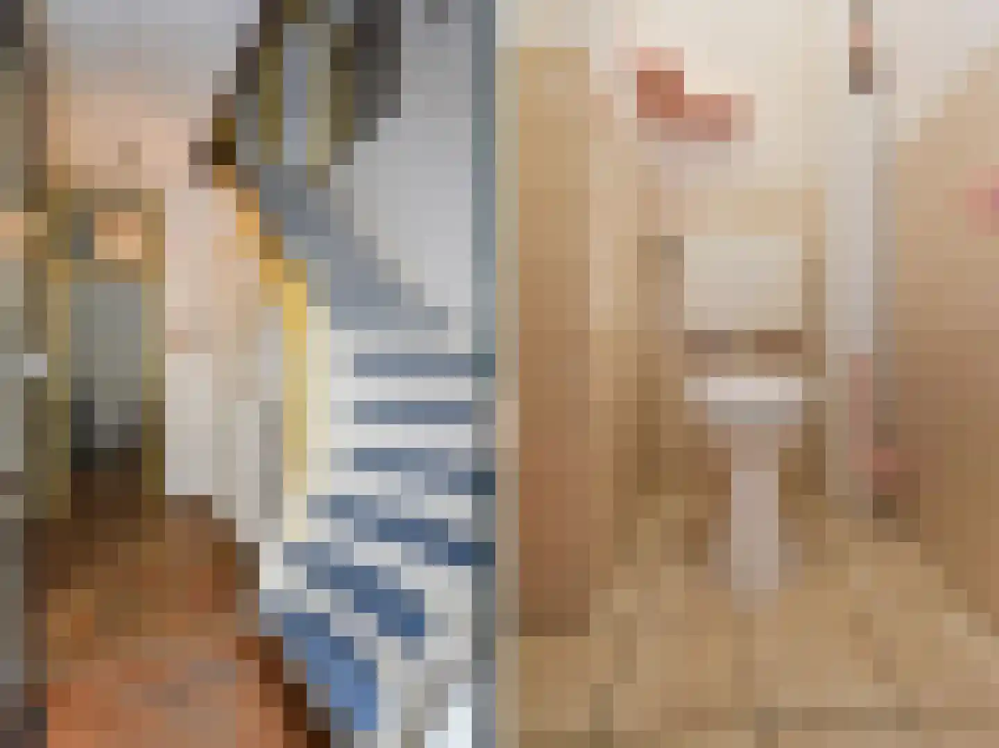 Waterlelie 32 Gouda thumbnail 25