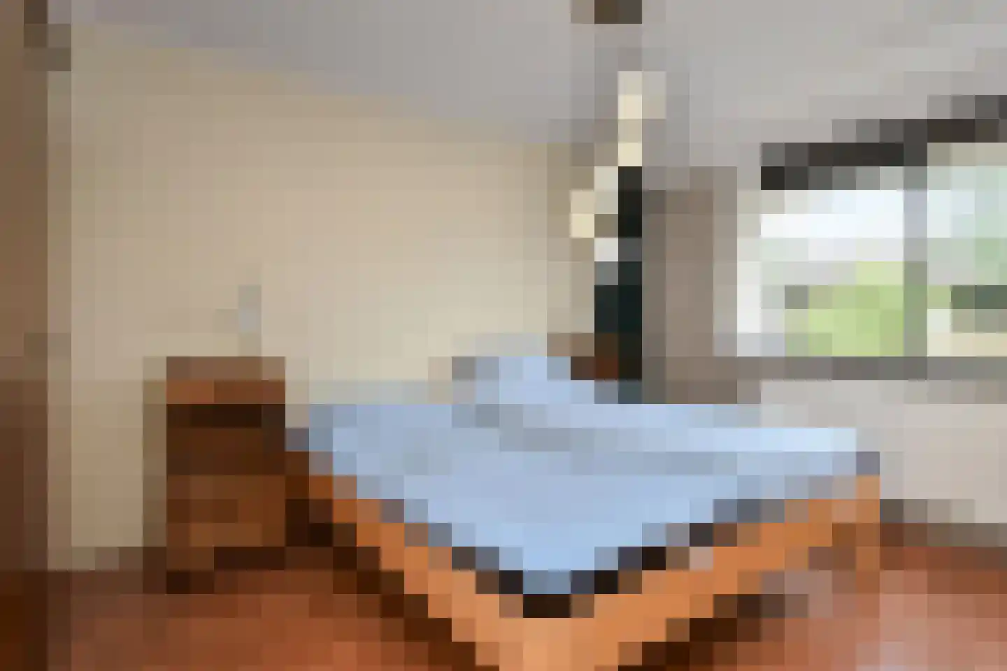 Waterlelie 32 Gouda thumbnail 26