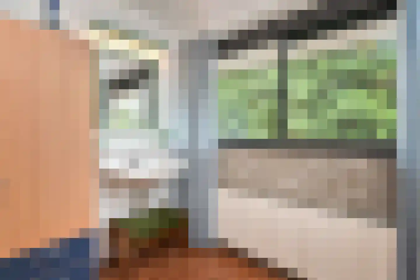 Waterlelie 32 Gouda thumbnail 31