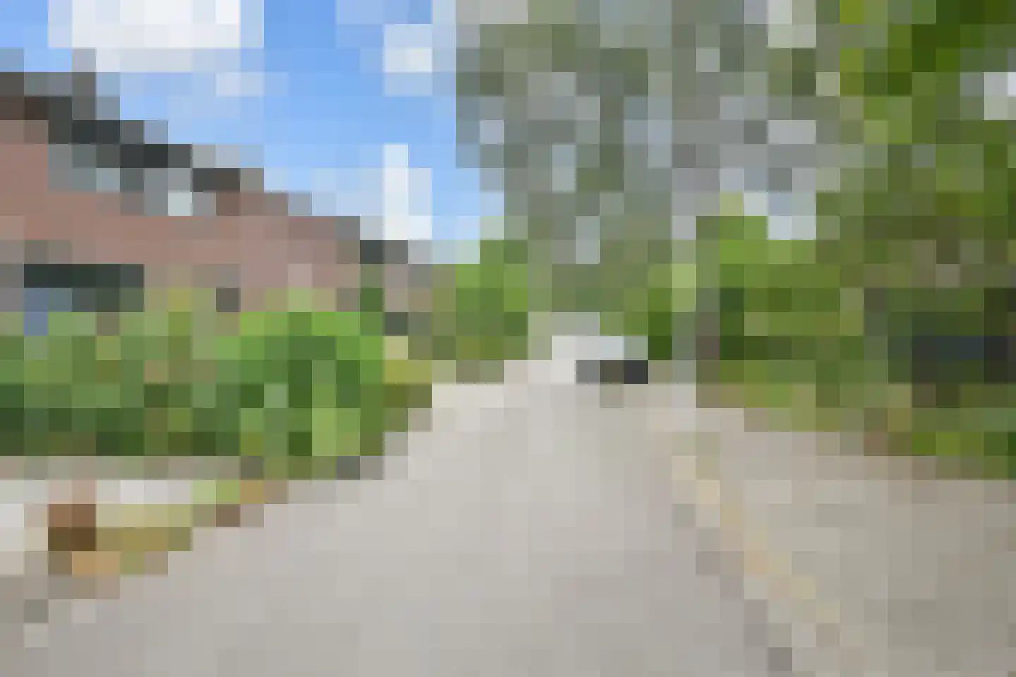 Waterlelie 32 Gouda thumbnail 38