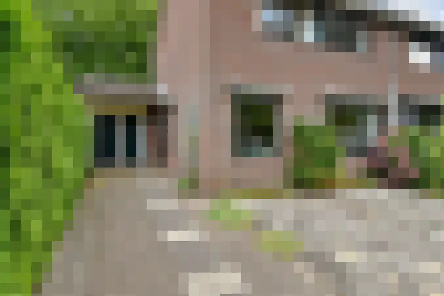 Waterlelie 32 Gouda thumbnail 5