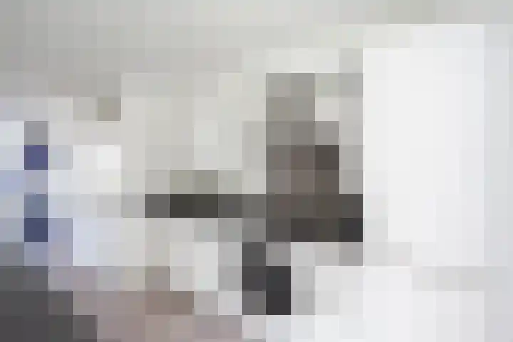 Waterlelie 33 Zwolle thumbnail 12