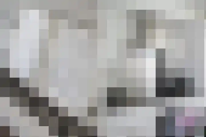 Waterlelie 33 Zwolle thumbnail 14