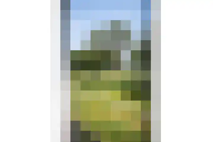 Waterlelie 33 Zwolle thumbnail 17