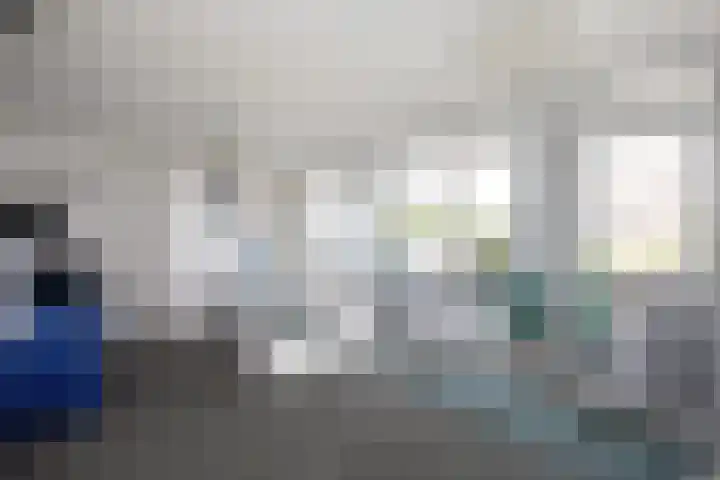 Waterlelie 33 Zwolle thumbnail 18