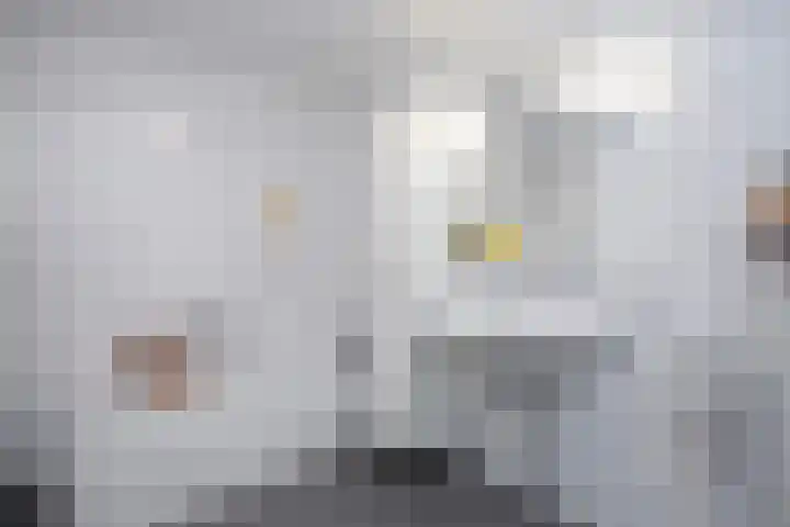 Waterlelie 33 Zwolle thumbnail 21