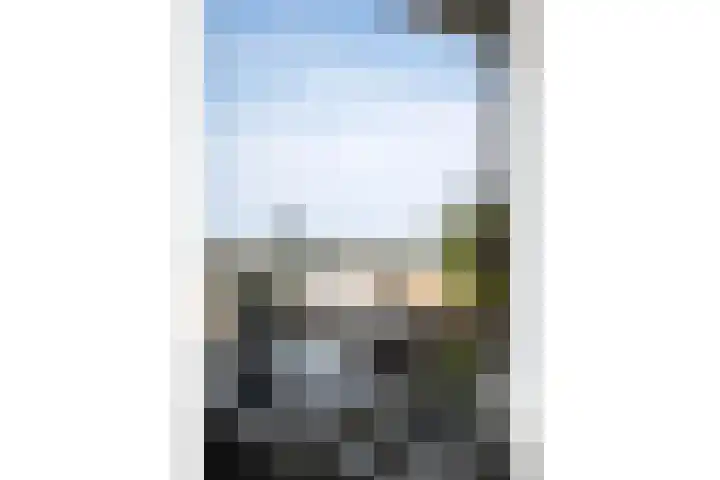 Waterlelie 33 Zwolle thumbnail 27