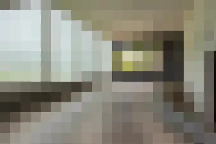 Waterlelie 33 Zwolle thumbnail 29