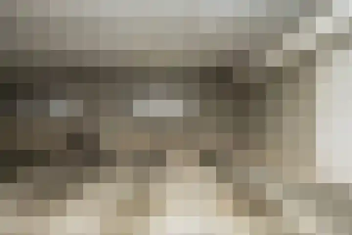 Waterlelie 33 Zwolle thumbnail 30