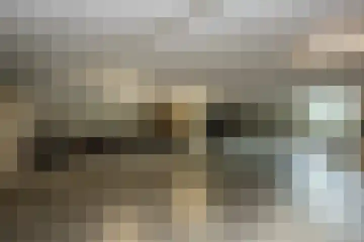 Waterlelie 33 Zwolle thumbnail 31