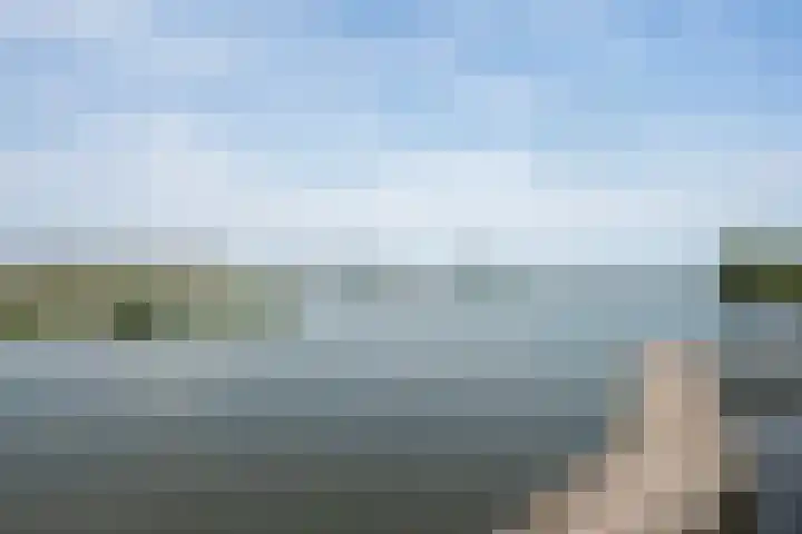 Waterlelie 33 Zwolle thumbnail 33