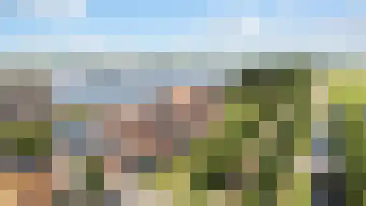 Waterlelie 33 Zwolle thumbnail 38