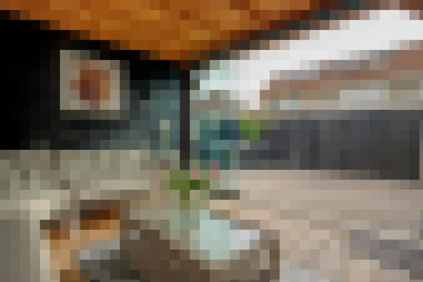 Waterlelie 35 Bovenkarspel thumbnail 26