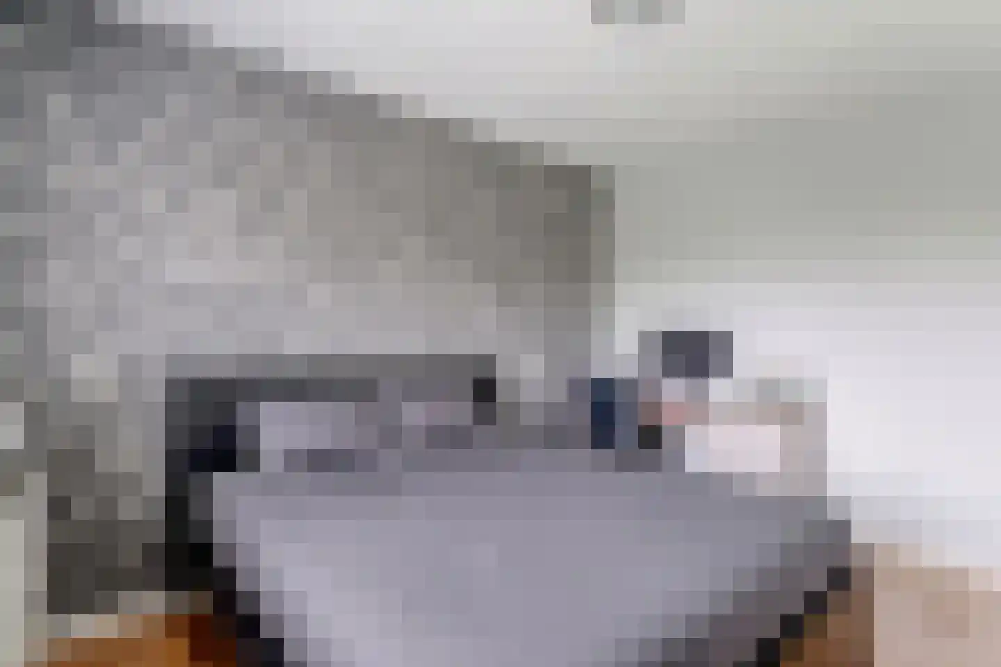 Waterlelie 35 Bovenkarspel thumbnail 34