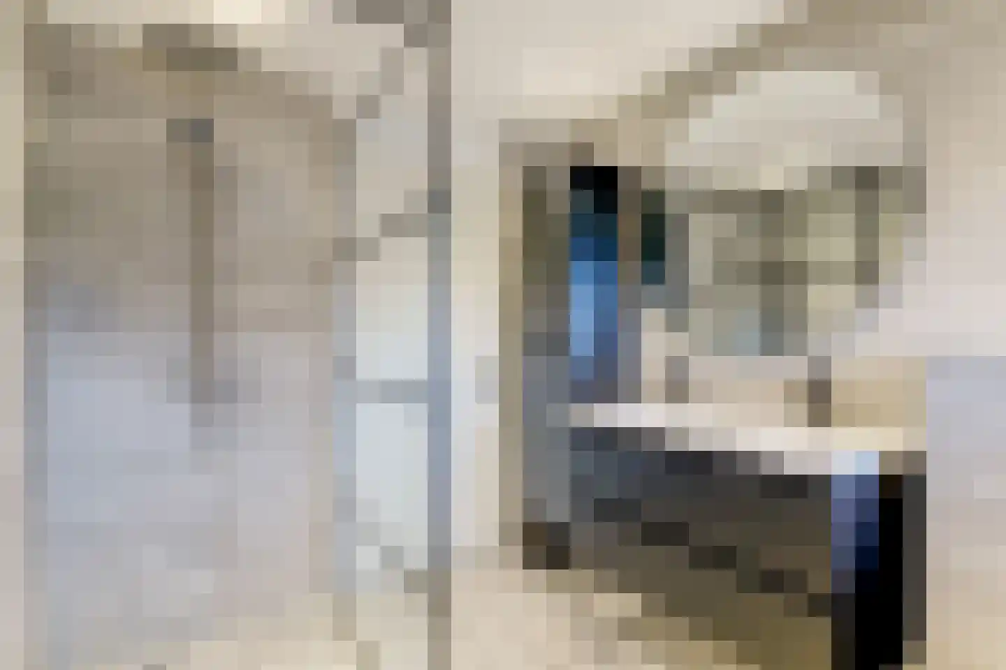 Waterlelie 35 Bovenkarspel thumbnail 38