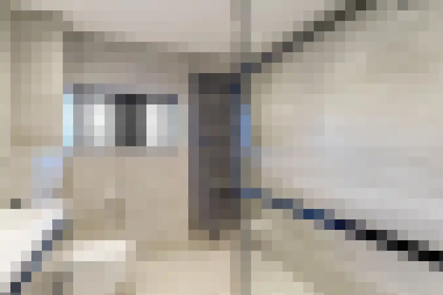 Waterlelie 35 Bovenkarspel thumbnail 39