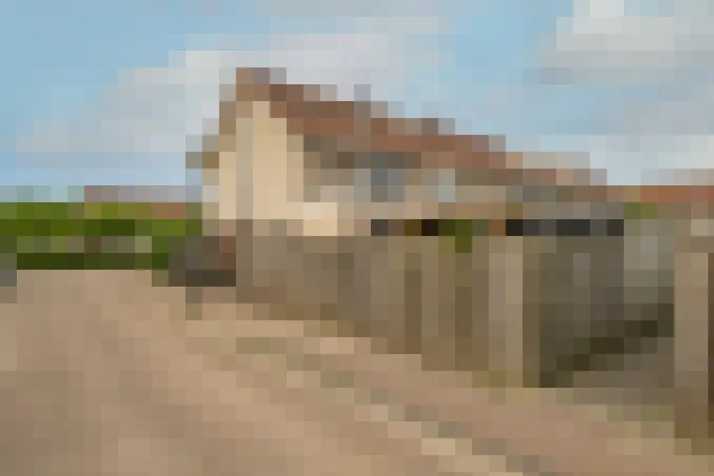 Waterlelie 35 Bovenkarspel thumbnail 4