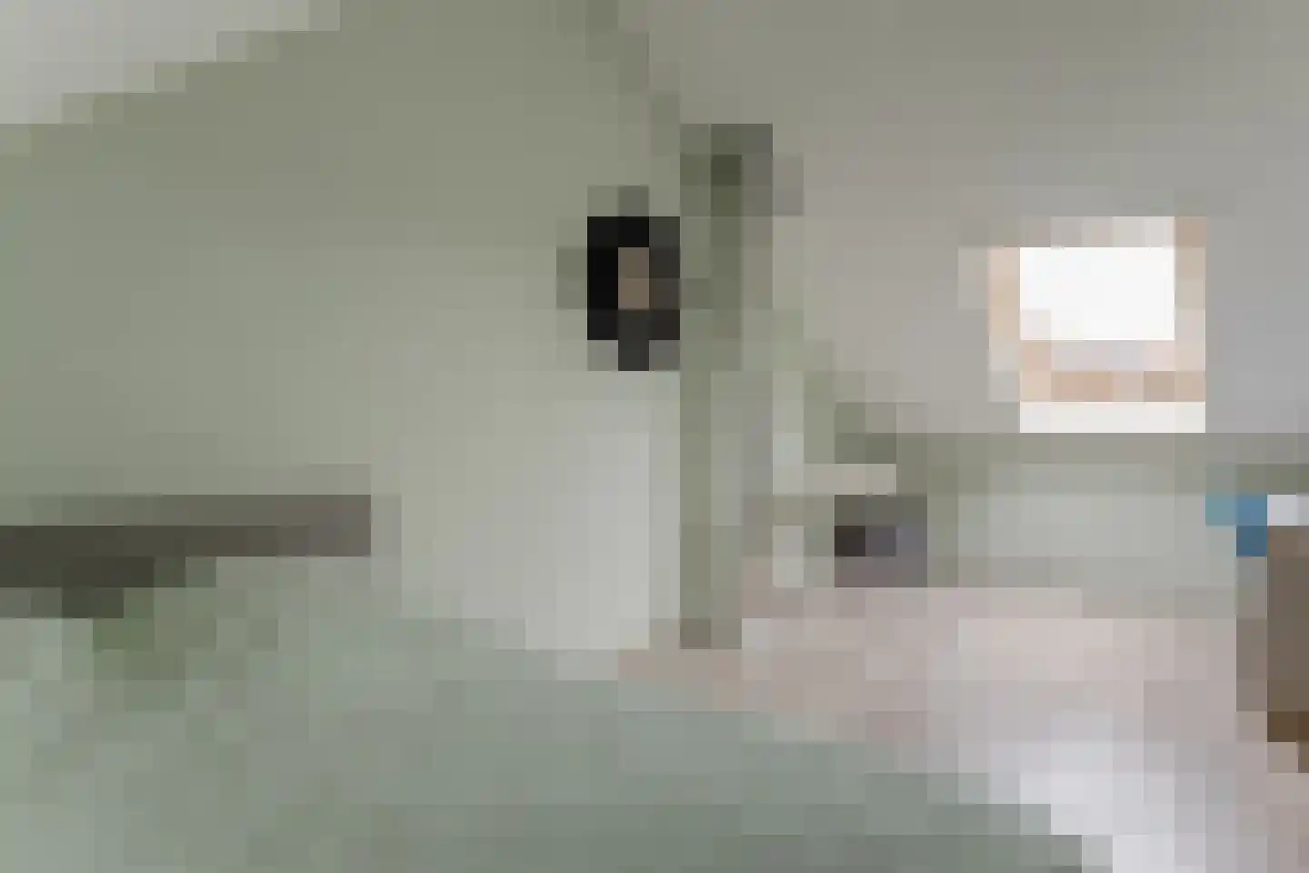 Waterlelie 35 Bovenkarspel thumbnail 45