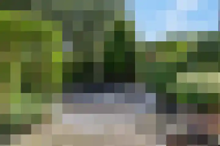 Waterlelie 36 Woudenberg thumbnail 10