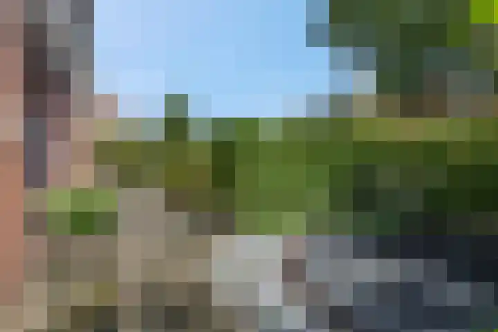 Waterlelie 36 Woudenberg thumbnail 11
