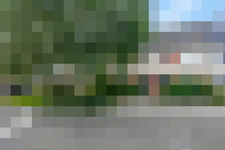 Waterlelie 36 Woudenberg thumbnail 4